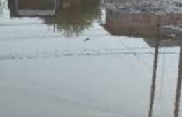 Diagonal 74: Vecinos se quejan del agua acumulada y los autos que salpican