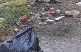 Pedido de bacheo, luminarias y otros temas en 6 de 90 a 96