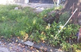 Vecina zona de Circunvalación alertó sobre los problemas que le traen aparejados una gran pérdida de agua sin resolver