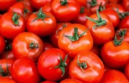 Explotó el precio del tomate