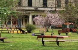 Martes 29: Jornada de trabajo por el Día del Arbol en Meridino V
