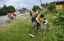 Etcheverry/Olmos: Importante operativo de limpieza sobre la avenida 44
