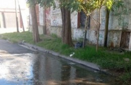 Se agravó la pérdida de 2 bis: Un río corre por el cordón sin solución de la empresa