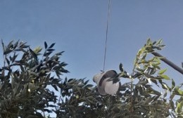 604 entre 121 y 122: Operarios se llevaron un cabezal de luminaria y están a oscuras