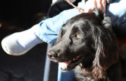 Martes 2: Vacunación antirrábica y castración de animales 25 y 75