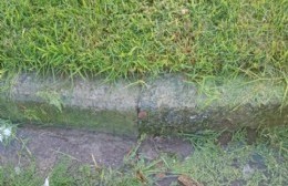 Barrio de Cristo Rey: Innumerables pérdidas complican el servicio de agua