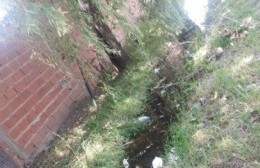 Barrio de Tricolores: Zanjas tapadas y el pasto que ganó la calle