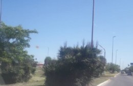 Conductor enojado por la falta de visión en retomes