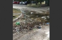 Agua, verdín, suciedad y abandono en Barrio Aeropuerto