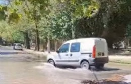 Una pérdida en la Usina del Bosque que perjudica a la región