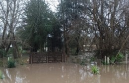 Parque Sicardi: Una vecina que se vive inundando pide por obras en la zona