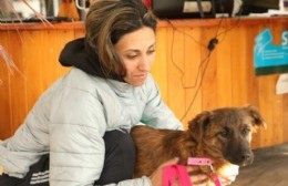 Tolosa: Jornada de vacunación y castración de animales
