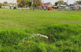 Reclaman por una pérdida de agua en la Plaza Palihue