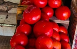 Frutas y verduras de primera calidad para engalanar las fiestas en Los Primos