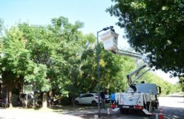 El Municipio anunció la renovación del alumbrado en Arana y que pronto llegará a Villa Elvira