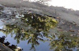 Se vino el calor sofocante y la falta de agua complica las cosas en Altos de San Lorenzo
