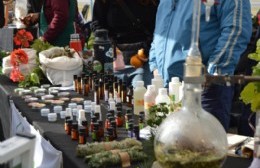 Del productor a la mesa: feria agroecológica, juegos y shows en el Paseo del Bosque