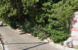 "Que salgan con tiempo y que hagan pis en la casa, no se puede ser tan sucios" se quejó una vecina