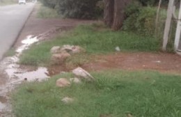 Más de medio año entrando y saliendo por la casa del vecino