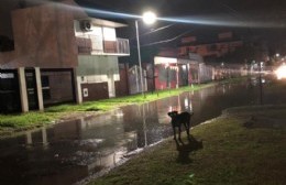 Preocupación de vecinos cada vez que llueve