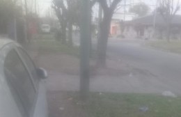 Una rutina de terror: basurero amontona, perros rompen, vecinos juntan