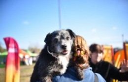 Atención veterinaria en los barrios: dónde estarán los móviles del Municipio esta semana