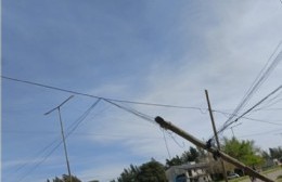Varios postes caídos en avenida 13 representan un peligro para los vecinos