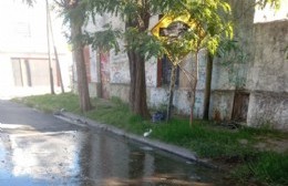 ABSA se desentiende hace meses y los vecinos no tienen presión domiciliaria