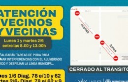Informan nuevos cortes por tareas de mantenimiento del arbolado en diagonal 78