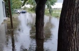 8 bis de 86 a 88: Temen que vuelvan las lluvias y las inundaciones si no se destapa las zanjas