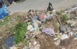 Demanda de vecinos por la formación de un basural en 116 bis y 600