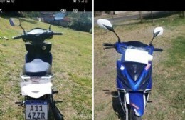 Buscan moto robada en Plaza Rocha