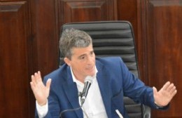 Oficialismo y oposición coincidieron en la incorporación de armas no letales para los agentes de seguridad municipales