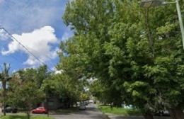 Podas, barrido, inseguridad: Un tema que preocupa a los vecinos de calle 75