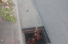 Se roban tapa dejando un pozo que es una trampa mortal en City Bell