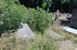 Vecina de Villa Elvira visitó el Cementerio y se quejó del estado en que lo encontró