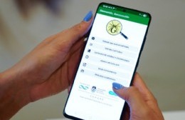 Alacranes: el Municipio difunde medidas de prevención y el modo de actuar frente a una picadura