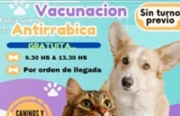 Martes: Jornada de vacunación de mascotas en Montoro