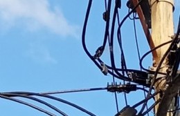 Villa Alba: "Llevamos veinticuatro horas sin luz"