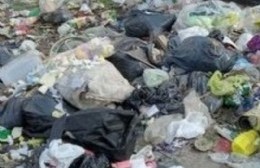609 entre 1 y 115: La proliferación de basurales ya es un dolor de cabeza para la gestión