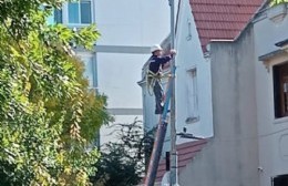 "Se suben a los postes, andan en las alturas mirando las casas y no sabemos quiénes son": Vecinos advierten sobre los trabajos de empresa de cable