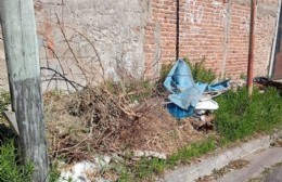 La Delegación hace el baile de la gambeta para no levantar un basural