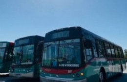 Por la demanda de la gente: La 307 suma dos nuevos servicios a Oliden