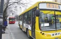 Por la baja de usuarios y aumento del gasoil: Empresas de colectivos analizan reducir recorridos