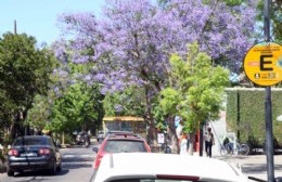 Si vas al Centro ojo al estacionar: Hoy te la aplican