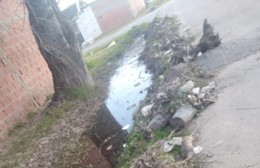 Reclamos para que se lleven el retiro de zanjas en el barrio de Tricolores