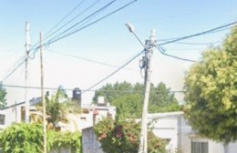 Infinidad de postes caídos o mal estado: La Municipalidad debería multar a las empresas de servicios