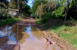 "Hasta que no baja el agua los chicos no van a clases"