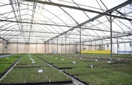 Importante informe descubre la realidad florihortícola platense en el año 2025