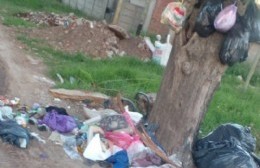 Los basurales: Un problema que complica a la gestión